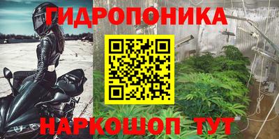 соль ск Моздок