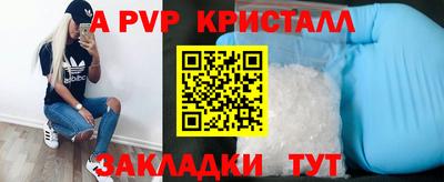 прущие грибы Можайск